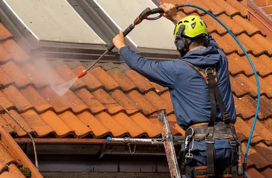 Démoussage et hydrofuge de toiture à Coulonges